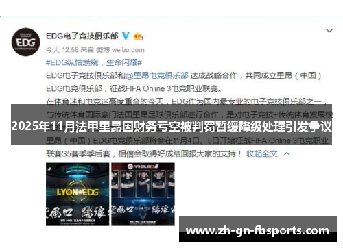 2025年11月法甲里昂因财务亏空被判罚暂缓降级处理引发争议 2025年11月法甲里昂因财务亏空被判罚暂缓降级处理引发争议