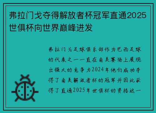 弗拉门戈夺得解放者杯冠军直通2025世俱杯向世界巅峰进发
